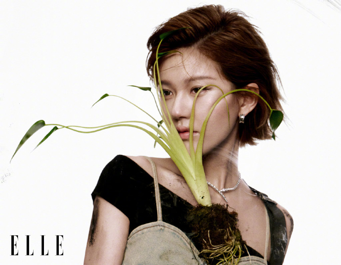 赵露思解锁第二本五大！宝格丽加身绽多元魅力