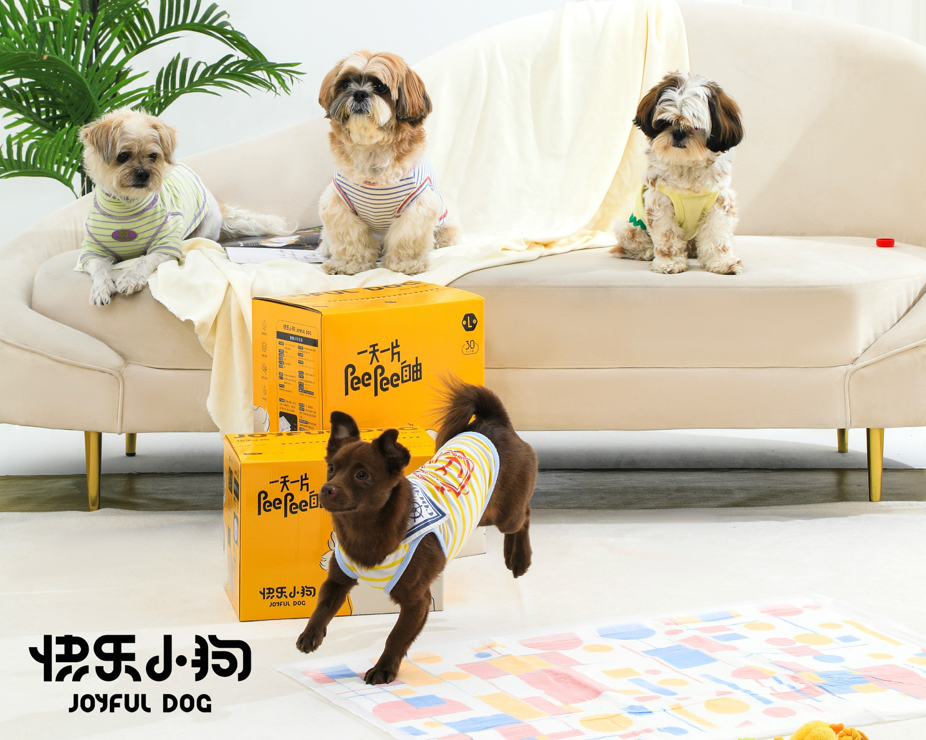“宠物尿垫中的爱马仕””快乐小狗重新定义人宠生活美学
