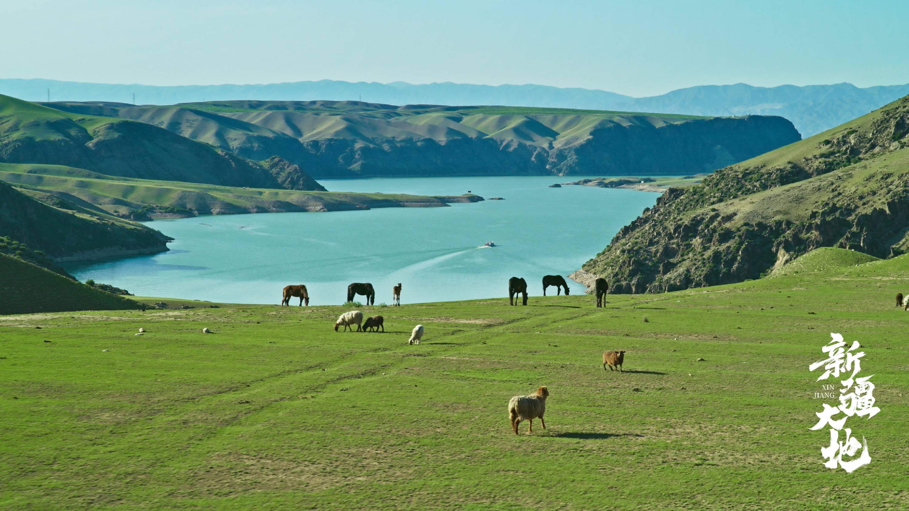 大型纪录片《新疆大地》即将重磅首播 深情礼赞新疆维吾尔自治区70华诞 