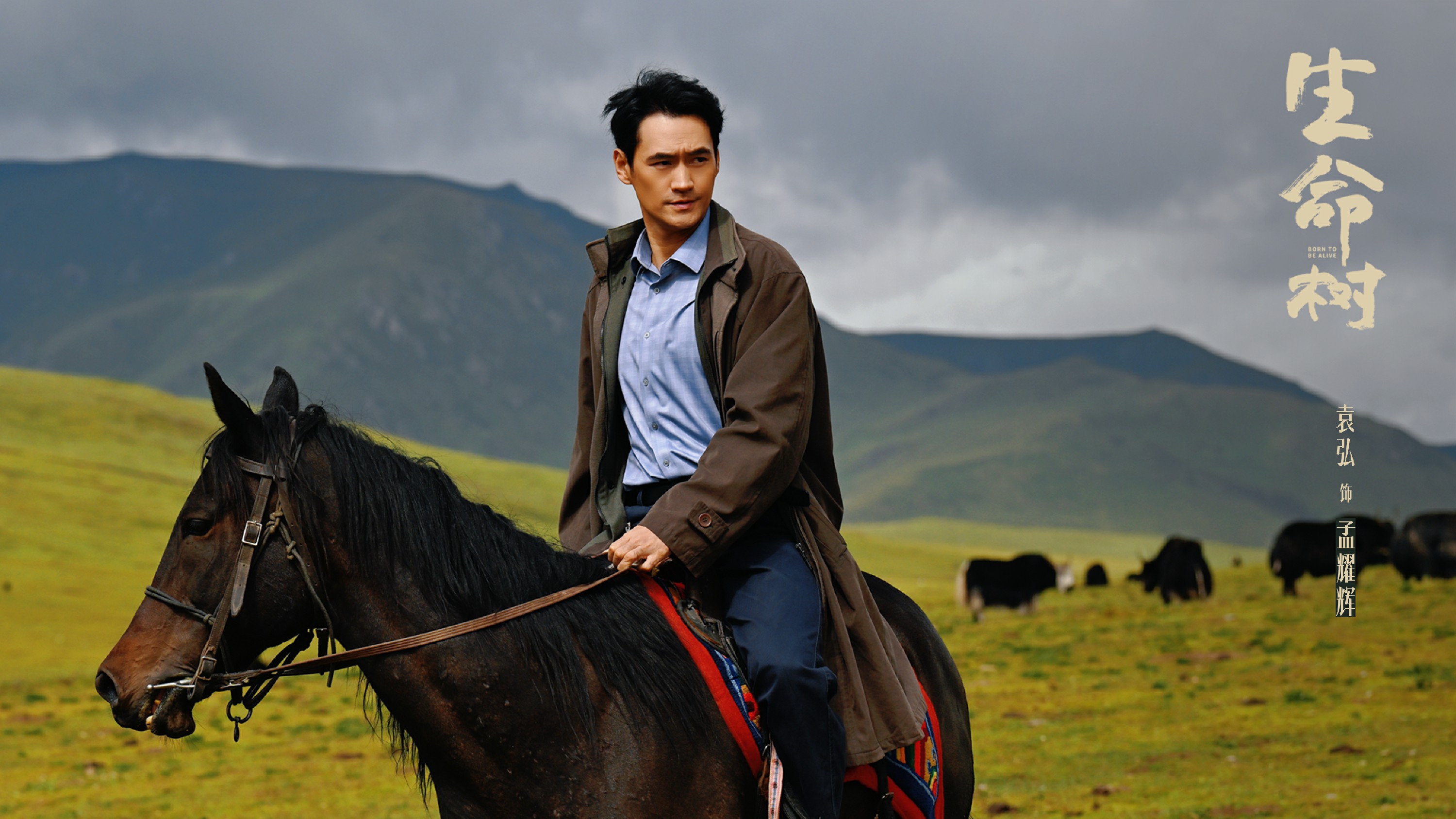 袁弘《生命树》热播 孟耀辉亦正亦邪掀全网热议 